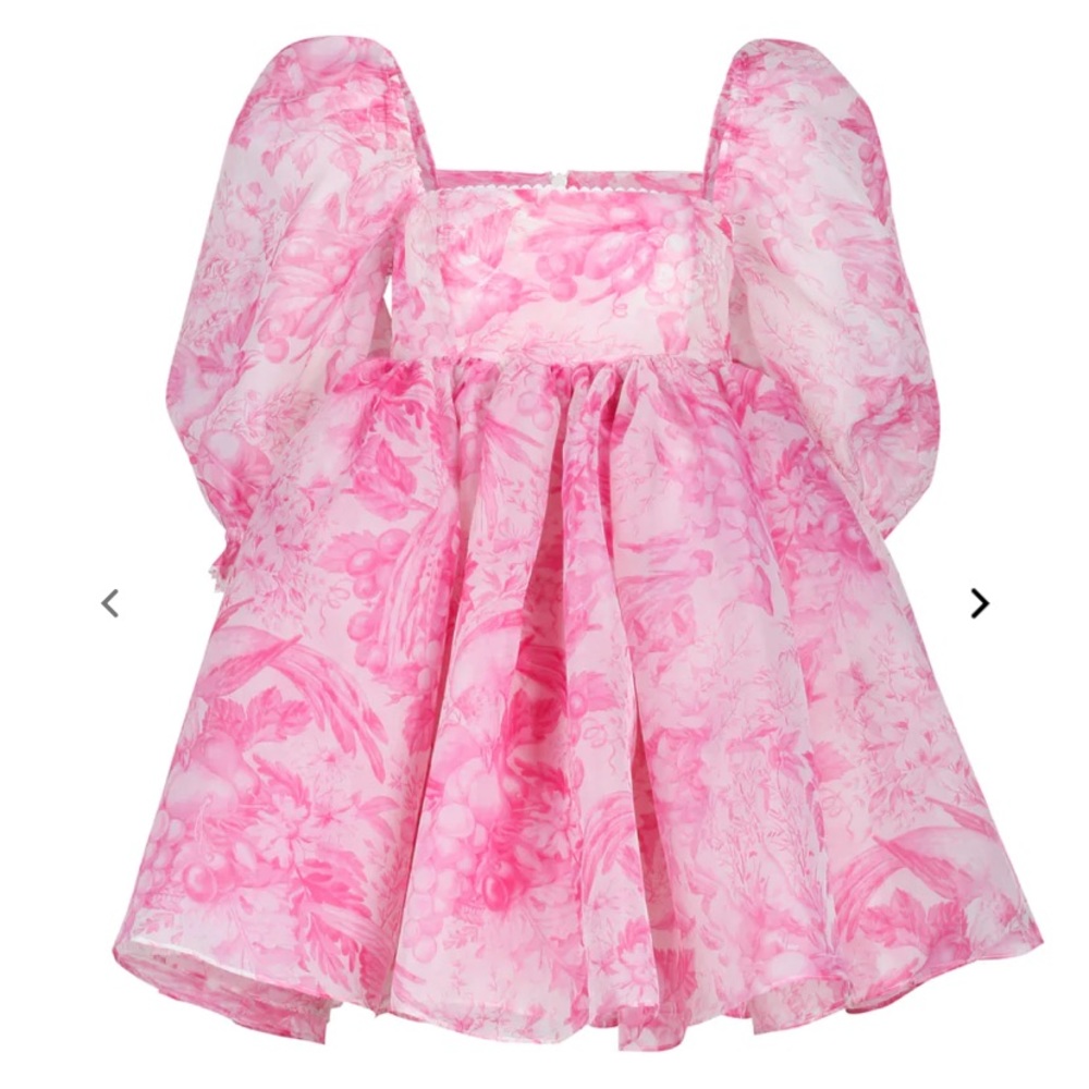 Selkie Plus The Babydoll Toile Lace Puff Dress